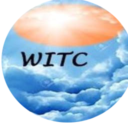 Words in the Cloud Logo